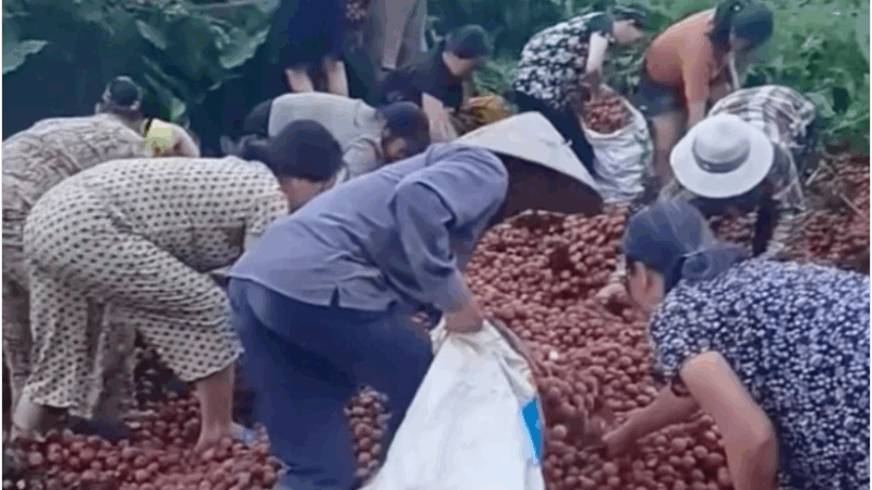 Thông tin mới vụ xe vải lật ở Thanh Oai: Người dân tung bằng chứng tố chủ xe nói sai sự thật, quyết đòi lại danh dự