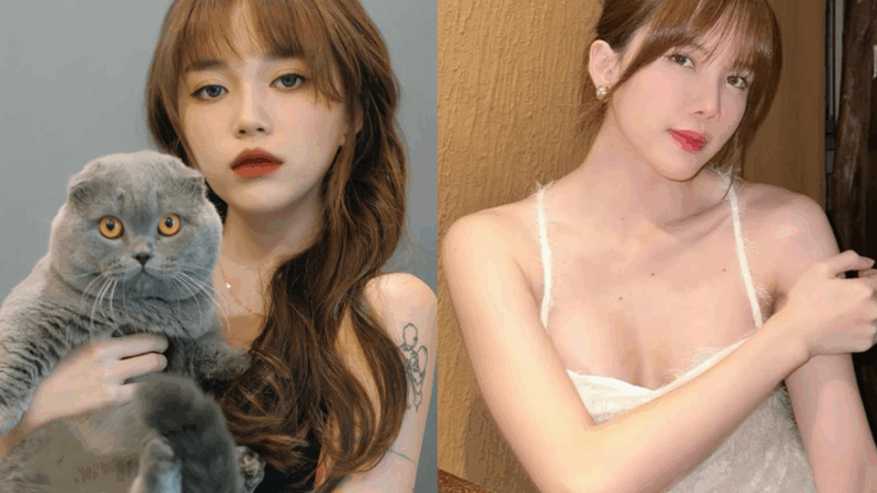 Linh Ngọc Đàm bất ngờ khui lại drama ‘trà xanh’: Công khai xin lỗi anh T và chị HT, còn khẳng định ‘tất cả là tại Thiều Bảo Trâm hết á!