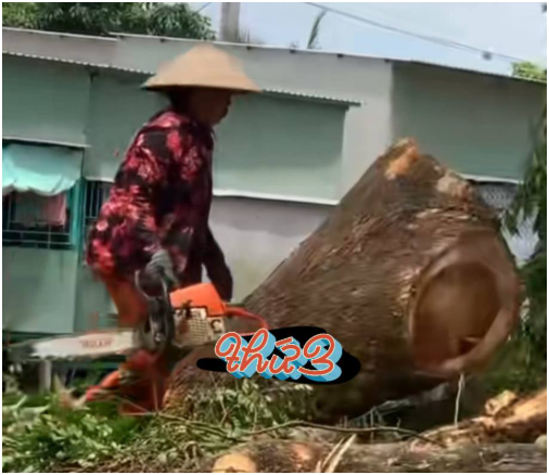 Vợ lớn chú Ba Minh tất bật mưu sinh: “Ông Minh có tiền thì lo cho 2 đứa con, còn tôi nhất quyết không xin 1 xu, tự làm tự ăn”