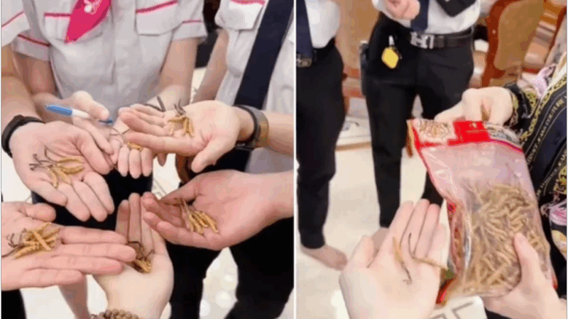 Món ăn hơn 2 tỷ của Mailisa đang rần rần trên MXH: “Còn cho cả nhân viên của mình ăn nữa, ngon không thể tả nổi”