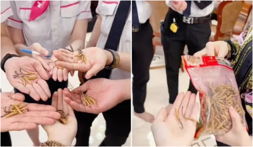 Món ăn hơn 2 tỷ của Mailisa đang rần rần trên MXH: “Còn cho cả nhân viên của mình ăn nữa, ngon không thể tả nổi”