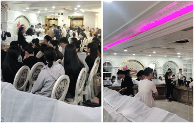 Tình hình không ổn của TMS Mailisa: Hàng trăm nhân viên xin nghỉ việc, máy móc thì đắp khăn, bỏ xó