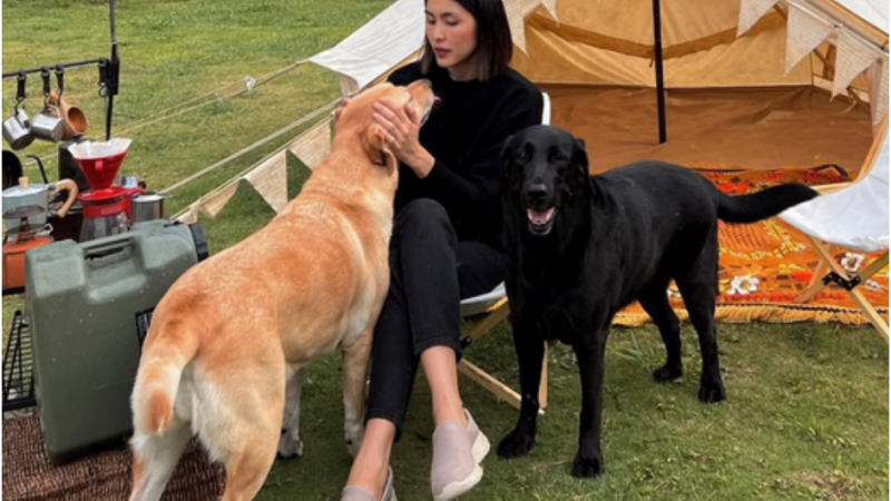 Nhiều bạn bè đồng nghiệp chia buồn cùng gia đình Tăng Thanh Hà: ‘Thương xót quá, đau lòng thật sự’