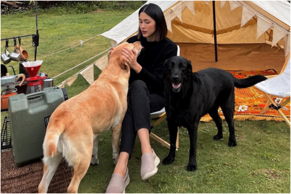 Nhiều bạn bè đồng nghiệp chia buồn cùng gia đình Tăng Thanh Hà: ‘Thương xót quá, đau lòng thật sự’