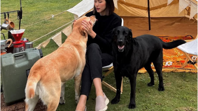 Tăng Thanh Hà được nhiều anh em thân thiết động viên, an ui: ‘Vì m:ất đi người bạn trong cuộc đời, xót thương vô cùng’