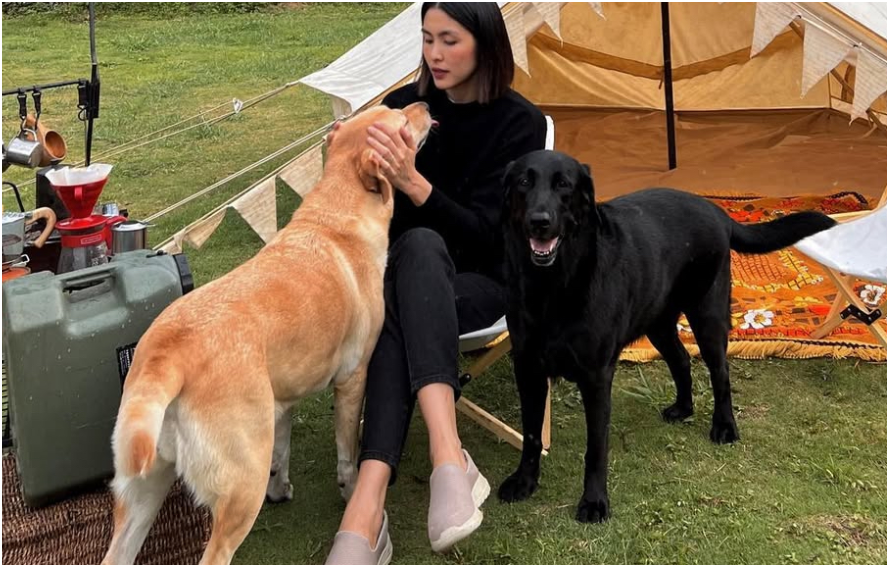 Tăng Thanh Hà được nhiều anh em thân thiết động viên, an ui: ‘Vì m:ất đi người bạn trong cuộc đời, xót thương vô cùng’