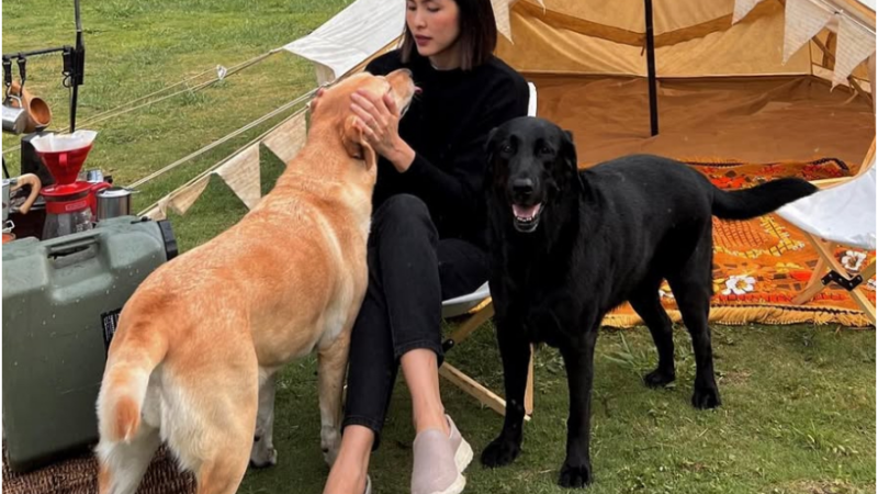 Ca sĩ Lệ Quyên và hàng loạt sao gửi lời chia buồn tới gia đình Tăng Thanh Hà: ‘Đau lòng tiễn biệt một người bạn’