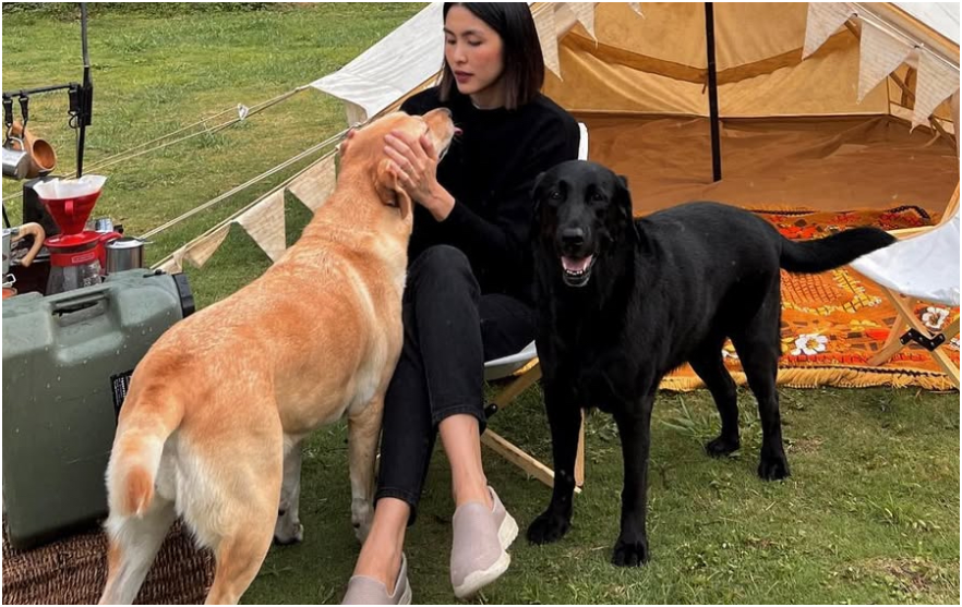 Ca sĩ Lệ Quyên và hàng loạt sao gửi lời chia buồn tới gia đình Tăng Thanh Hà: ‘Đau lòng tiễn biệt một người bạn’