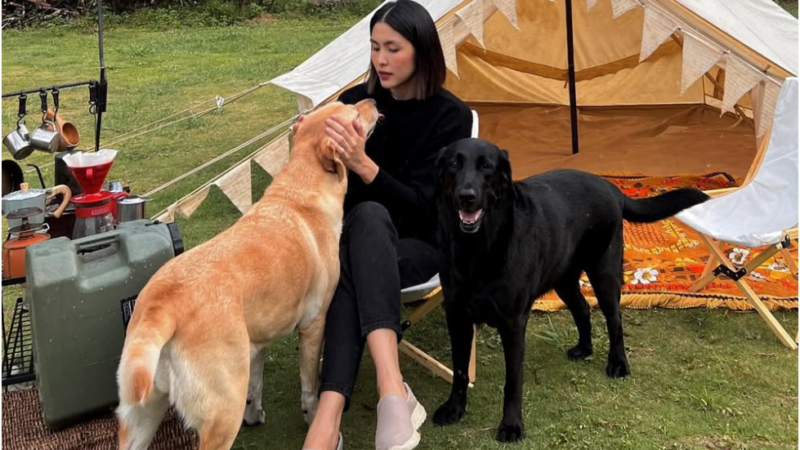 Bất ngờ với cách Tăng Thanh Hà xưng hô với cún cưng ở nhà: Thân thiết đến mức ai nghe cũng chạnh lòng “bảo sao không buồn”