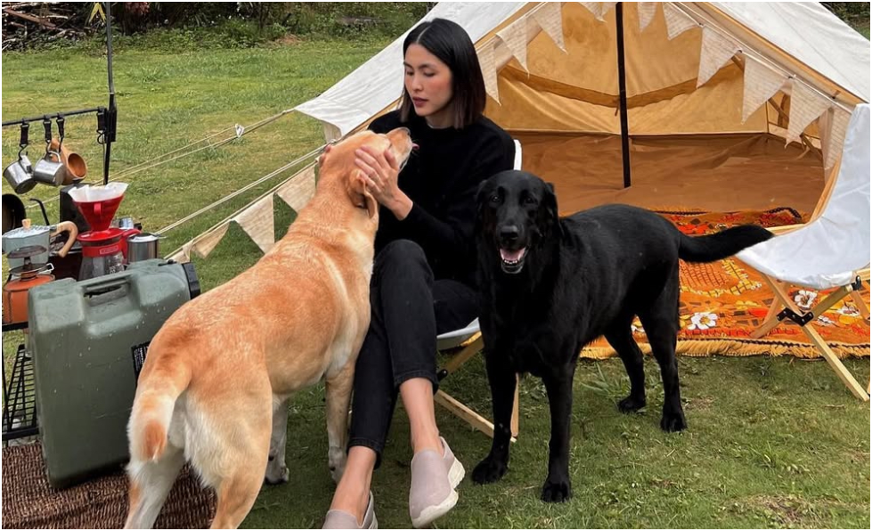 Bất ngờ với cách Tăng Thanh Hà xưng hô với cún cưng ở nhà: Thân thiết đến mức ai nghe cũng chạnh lòng “bảo sao không buồn”