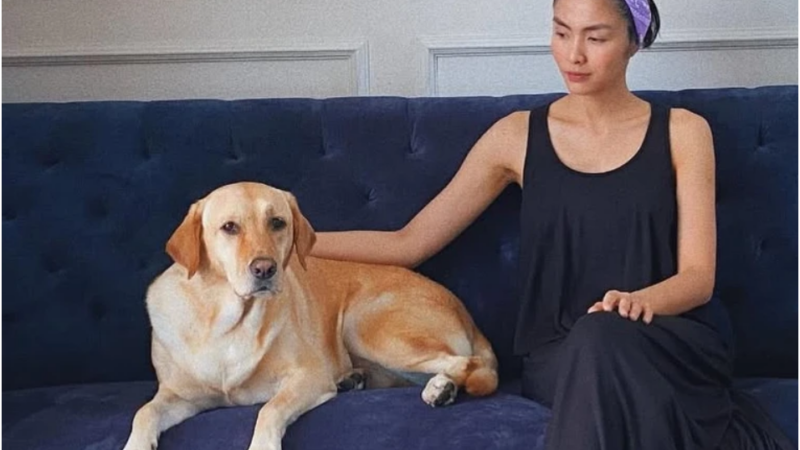 Cú:n cư:ng của Tăng Thanh Hà m:ất: Lệ Quyên và hàng loạt nghệ sĩ vào chia buồn