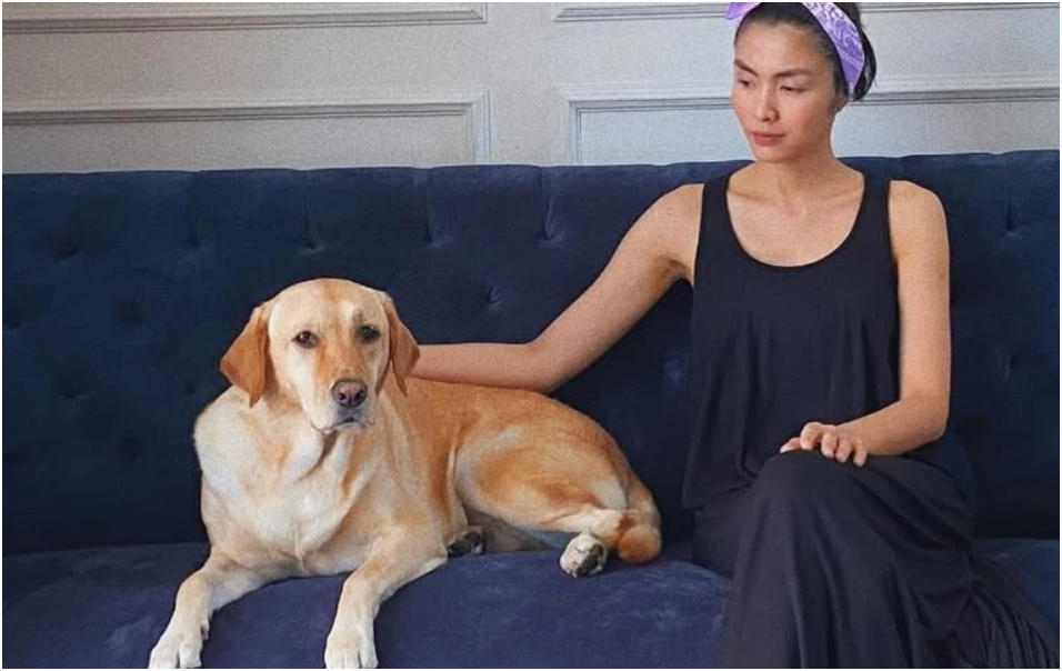 Cú:n cư:ng của Tăng Thanh Hà m:ất: Lệ Quyên và hàng loạt nghệ sĩ vào chia buồn