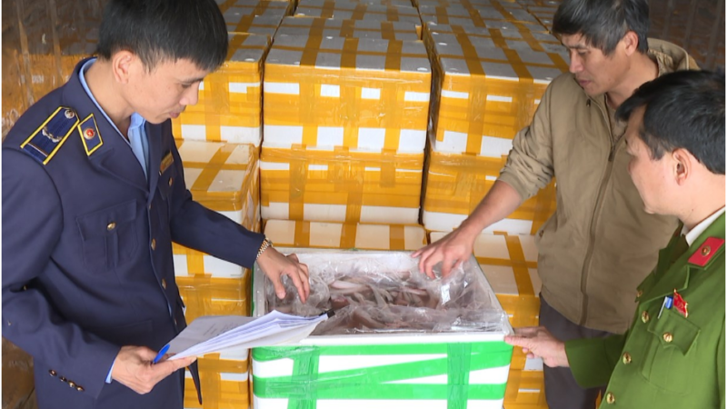 Ki:nh ho:àng 10 tấn cá khoai Trung Quốc tẩm formol cực đ:ộ:c chờ lên bàn ăn