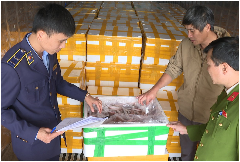 Ki:nh ho:àng 10 tấn cá khoai Trung Quốc tẩm formol cực đ:ộ:c chờ lên bàn ăn