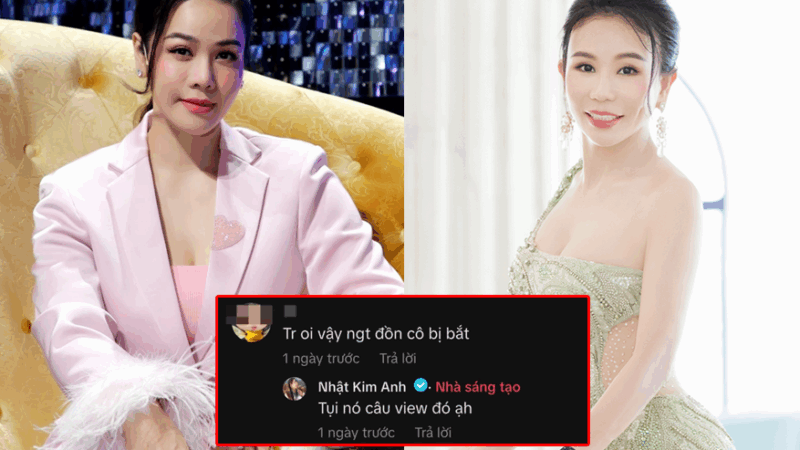 Bị đồn nối gót Mailisa, Nhật Kim Anh livestream thanh minh: Người hâm mộ nghe xong thở phào hú hồn