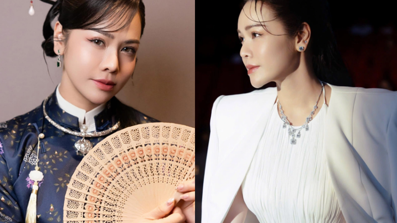 Góc khuất ít ai biết về Nhật Kim Anh: Không chỉ là nghệ sĩ, nguồn thu phía sau mới là điều khiến nhiều người bất ngờ!