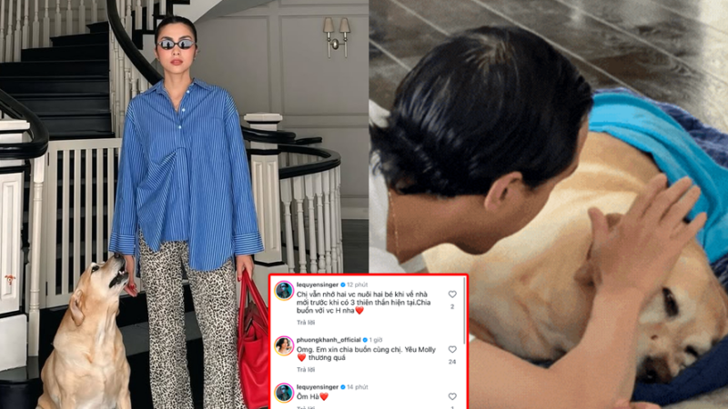 Showbiz đồng loạt gửi lời chia buồn cùng Tăng Thanh Hà vì chú chó qu:a đ:ời, CĐM phản ứng g:ắt: “Chó m:ất thôi mà làm gì ghê vậy”