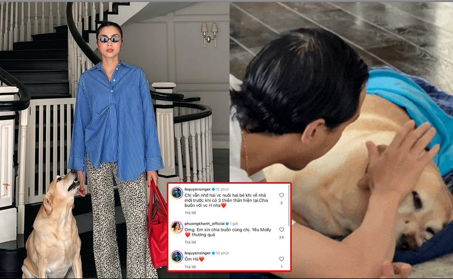 Showbiz đồng loạt gửi lời chia buồn cùng Tăng Thanh Hà vì chú chó qu:a đ:ời, CĐM phản ứng g:ắt: “Chó m:ất thôi mà làm gì ghê vậy”