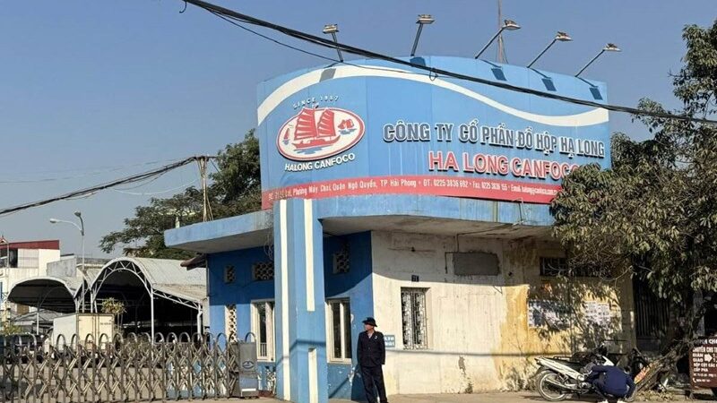 Bê bối thịt lợn nhiễm bẩn làm dậy sóng Đồ hộp Hạ Long: Doanh thu gần nghìn tỷ, từng top 50 ASEAN, thâm niên gần 70 năm vẫn khiến người tiêu dùng bàng hoàng