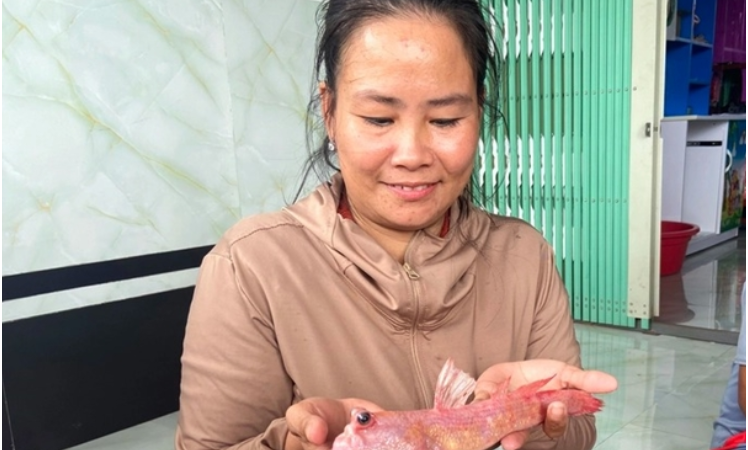 Người dân Cà Mau bắt được con cá độc nhất vô nhị: ‘Có khả năng phát sáng cả đêm’