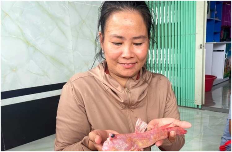 Người dân Cà Mau bắt được con cá độc nhất vô nhị: ‘Có khả năng phát sáng cả đêm’