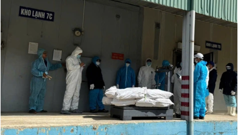 Rõ danh tính và chân dung của 9 người bị khởi tố trong vụ hơn 130 tấn thịt heo nhiễm bệnh liên quan Đồ hộp Hạ Long