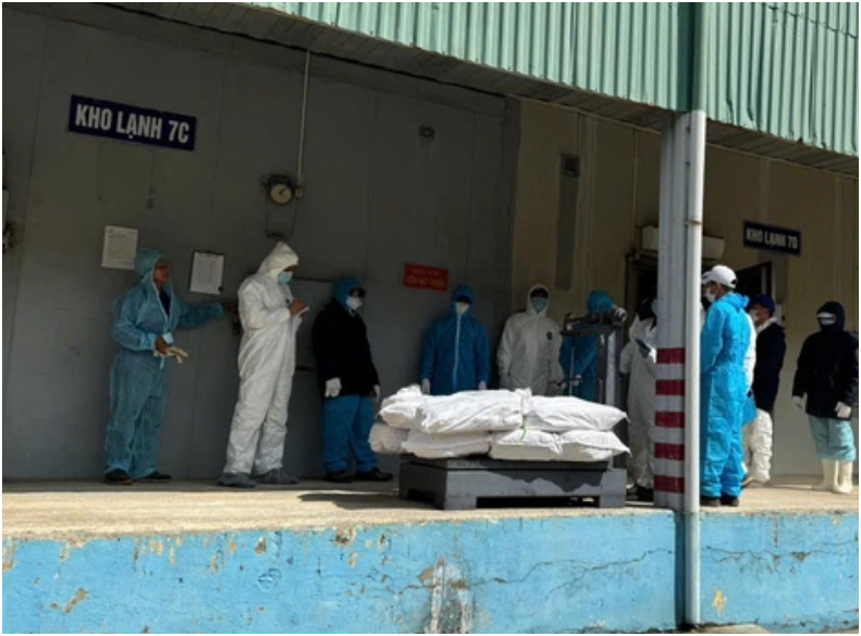 Rõ danh tính và chân dung của 9 người bị khởi tố trong vụ hơn 130 tấn thịt heo nhiễm bệnh liên quan Đồ hộp Hạ Long