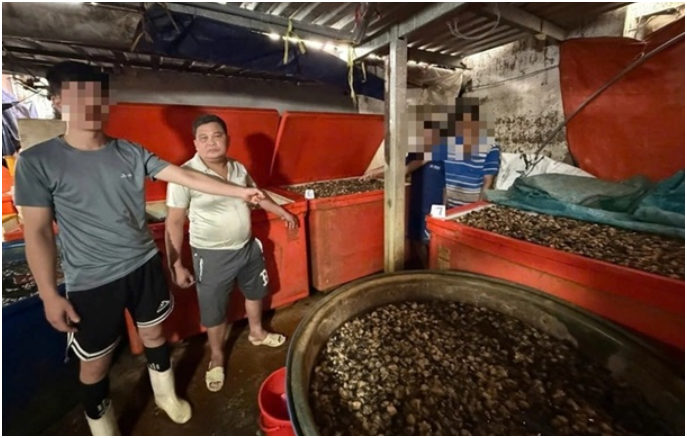 Phát hiện cơ sở ngâm ốc bươu bằng hóa chất công nghiệp ở Sài Gòn: Hàng ngàn tấn đã vào miệng người tiêu dùng, quá đáng sợ