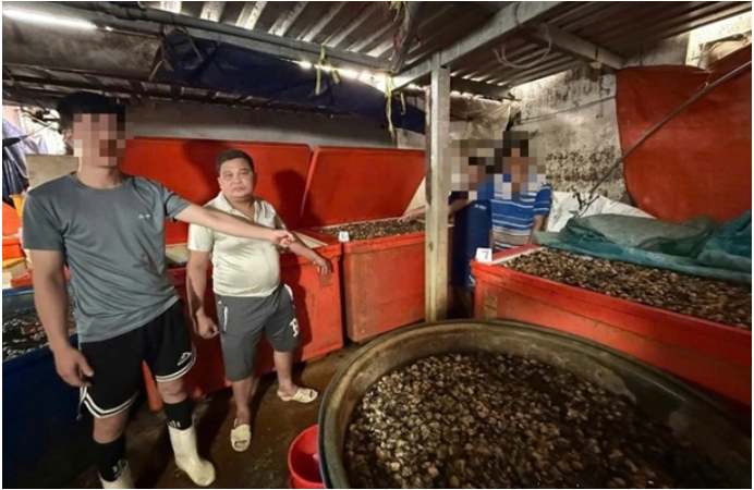 Rõ tác h:ại ki:nh kh:ủng từ việc ăn ốc bươu bị ngâm bằng hó:a ch:ất đ:ộc h:ại: Không ngờ luôn