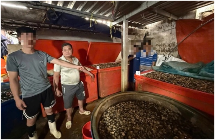 Rõ tác h:ại ki:nh kh:ủng từ việc ăn ốc bươu bị ngâm bằng hó:a ch:ất đ:ộc h:ại: Không ngờ luôn