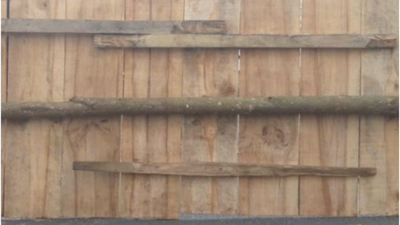 Chủ cơ sở mộc nói về tấm gỗ trong vụ cư:ớ:p Ngân hàng ở Gia Lai: “Phân tích cạn kẽ, nói điều không ngờ luôn, thêm được manh mối để tìm ra th:ủ ph:ạm”