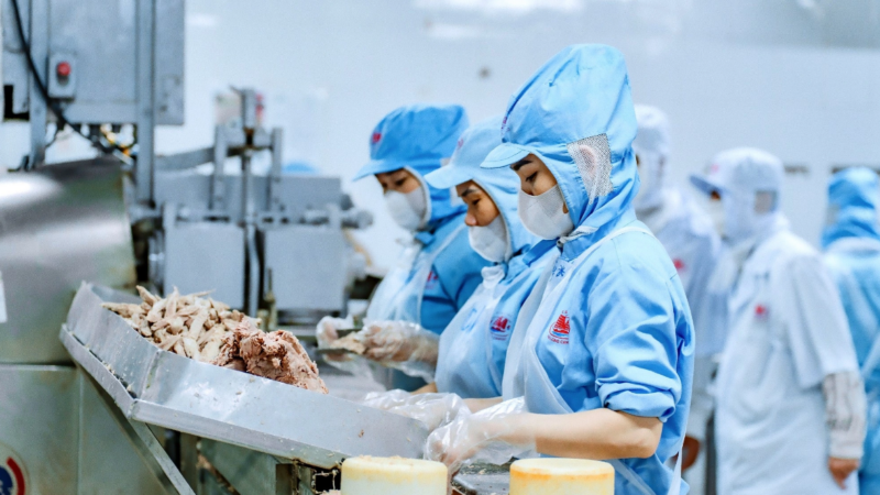 Quy trình làm thịt hộp, xúc xích của Đồ hộp Hạ Long bị hé lộ: Xem xong nhiều người chỉ biết… sững sờ