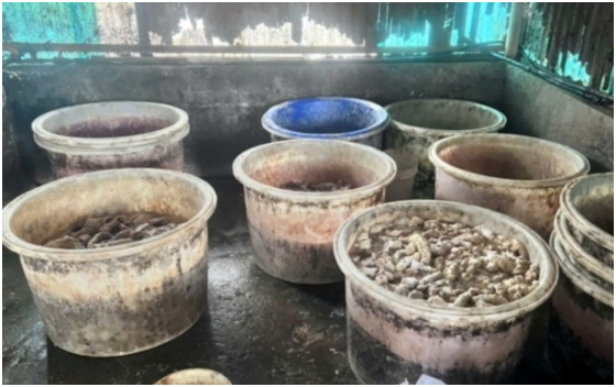 Phát hiện hàng chục tấn lò:ng l:ợn, d:ạ d:ày, châ:n g:à ‘b:ẩ:n’ trong một kho lạnh ở Hải Phòng: “Sợ thật đấy, hết dám ăn luôn”