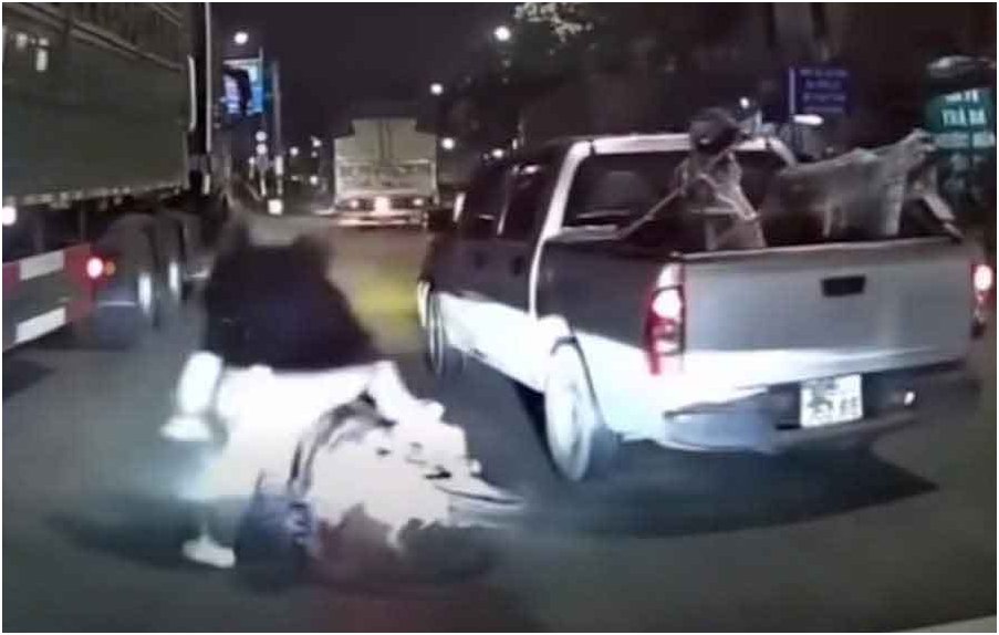 Chủ tài khoản Phương Ba Sáu lên tiếng khi bị nhiều người vào chưởi vụ tài xế xe tải chè:n é:p xe máy: “Nói hết tất cả sự thật ra luôn”