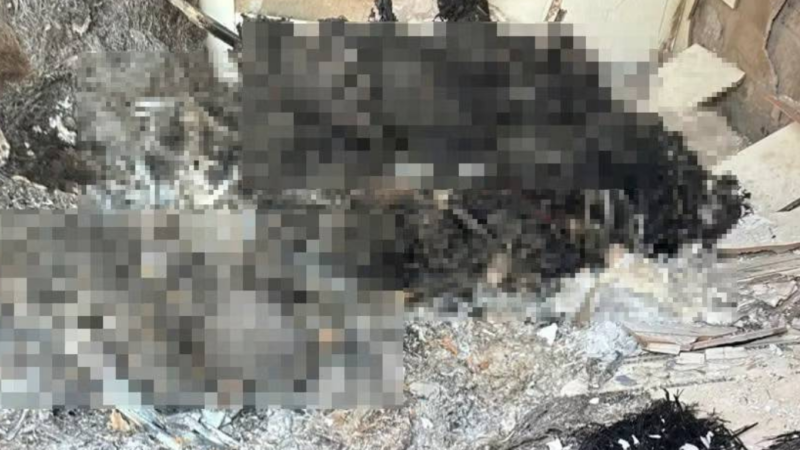 4 người trong cùng gia đình tử vong bất thường ở Gia Lai: Hé lộ chi tiết lạ tại hiện trường khiến ai cũng rùng mình