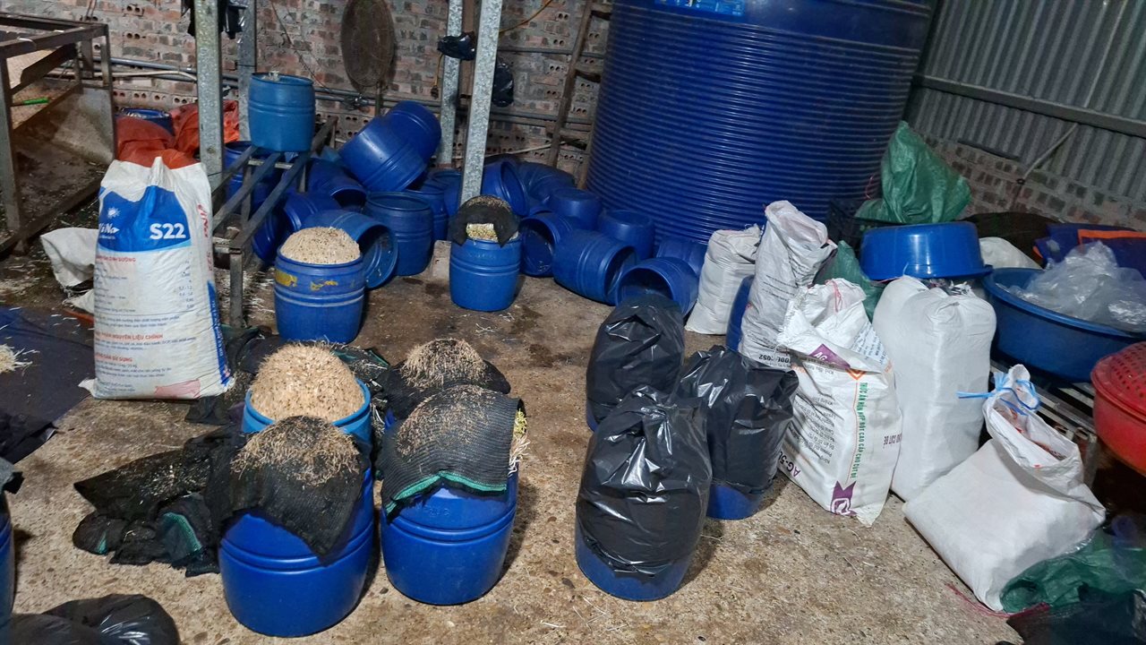 Cận cảnh cơ sở sản xuất hơn 500 tấn giá đỗ dùng chất độc hại – Hình ảnh bên trong khiến ai nhìn cũng rùng mình!