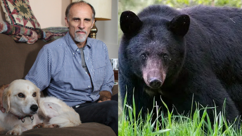 A small white dog fearlessly confronted a black bear in the middle of the wilderness to save its owner, despite the danger