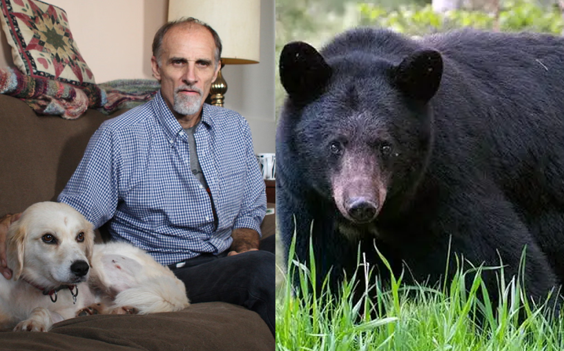 A small white dog fearlessly confronted a black bear in the middle of the wilderness to save its owner, despite the danger