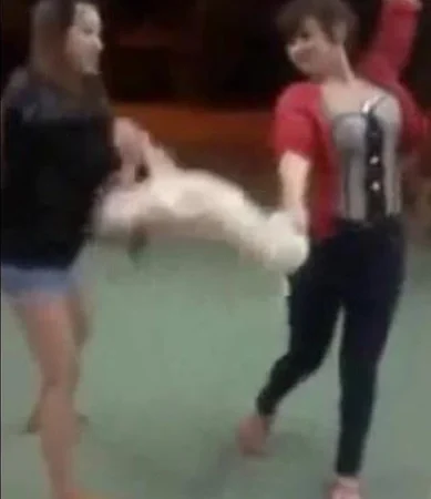 Outrage erupted after a video showed a dog being violently thrown around by two girls as if it were an object. Even when the dog’s body went limp, the abuse continued, leaving everyone who watched the footage horrified and deeply disturbed