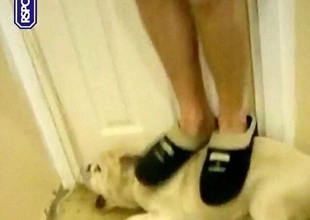 A video showing the brutal abuse of a dog is causing massive outrage across social media. Everyone who watches it becomes more furious and disgusted with every second