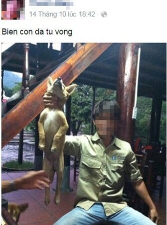 Outrage erupted over a series of horrifying images showing dogs being brutally abused and then posted on social media as if they were “achievements.” From choking dogs and lifting them into the air to threatening to smash their heads with a concrete weight, the disturbing acts left everyone furious and deeply disturbed.