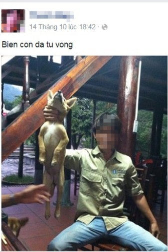 Outrage erupted over a series of horrifying images showing dogs being brutally abused and then posted on social media as if they were “achievements.” From choking dogs and lifting them into the air to threatening to smash their heads with a concrete weight, the disturbing acts left everyone furious and deeply disturbed.